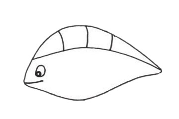 孔雀魚怎么畫  孔雀魚簡筆畫步驟