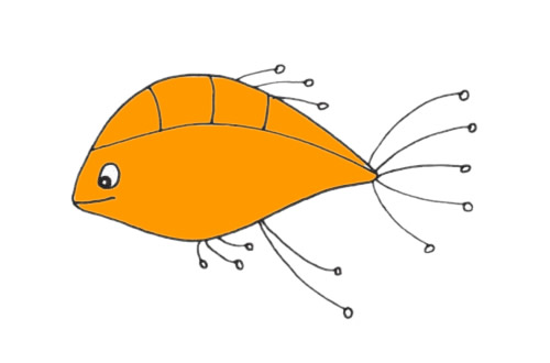 孔雀魚怎么畫  孔雀魚簡筆畫步驟