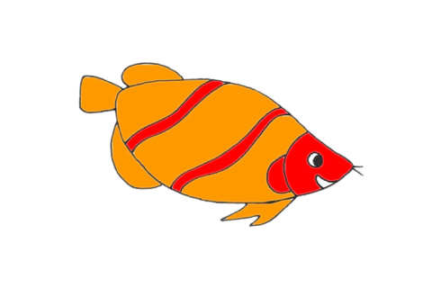 漂亮的龍魚簡筆畫步驟