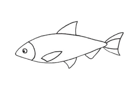 沙丁魚簡(jiǎn)筆畫步驟