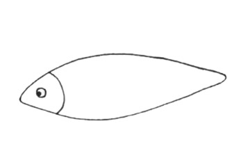 沙丁魚簡(jiǎn)筆畫步驟