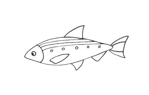 沙丁魚簡(jiǎn)筆畫步驟