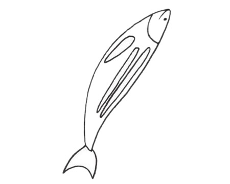 關于沙丁魚的簡筆畫
