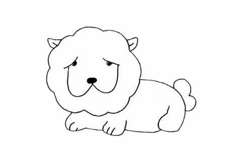 松獅犬簡筆畫步驟 松獅犬簡筆畫步驟