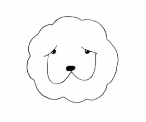松獅犬簡筆畫步驟 松獅犬簡筆畫步驟