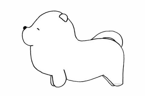 松獅犬怎么畫最簡單