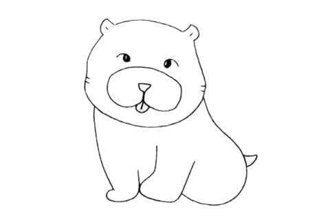 可愛的松獅犬簡筆畫