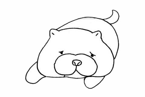 松獅犬兒童簡筆畫