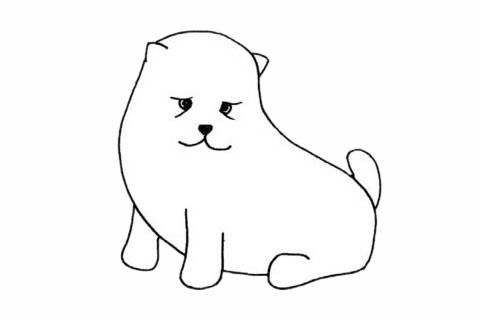 松獅犬的簡單畫法