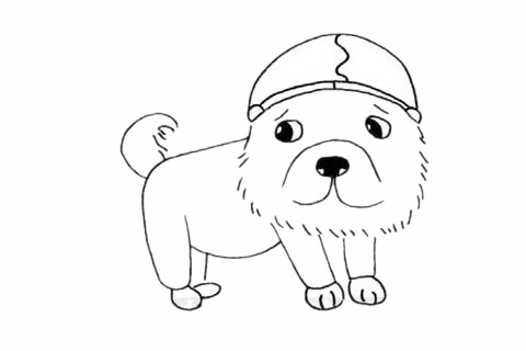 卡通松獅犬簡筆畫