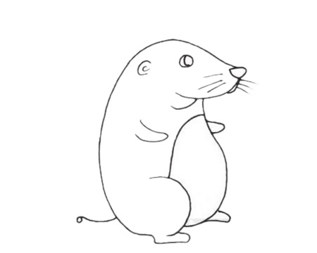 鼴鼠兒童簡筆畫