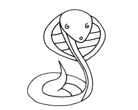 關(guān)于眼鏡蛇的簡筆畫