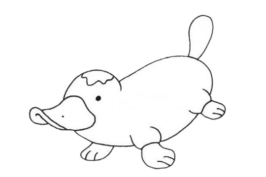 鴨嘴獸簡單畫法