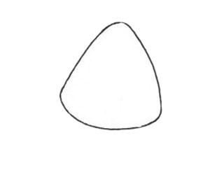 烏賊簡(jiǎn)筆畫(huà)教程