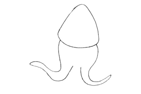 烏賊簡(jiǎn)筆畫(huà)教程