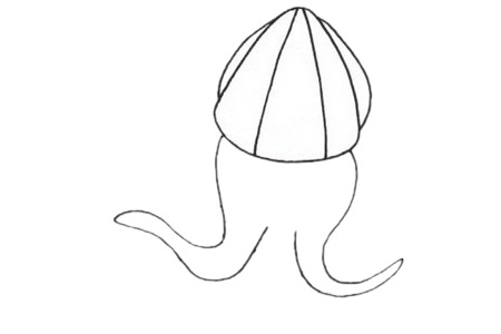 烏賊簡(jiǎn)筆畫(huà)教程