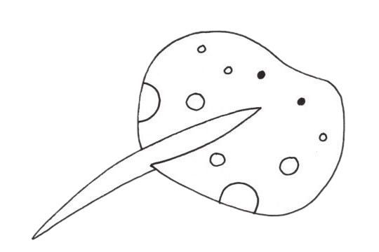 關(guān)于鰩魚的簡筆畫