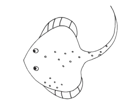 可愛的鰩魚簡筆畫
