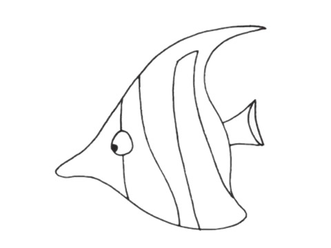 尖尖的熱帶魚簡筆畫