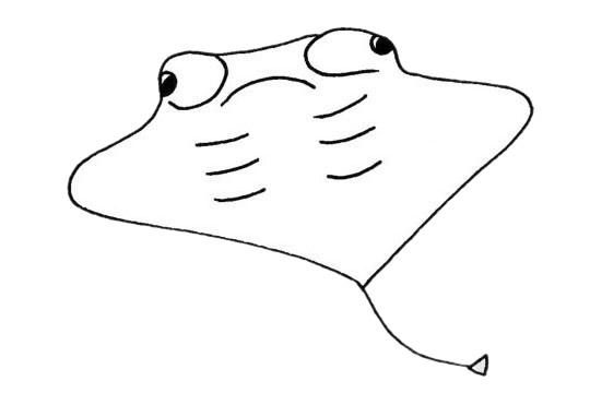 蝙蝠魚兒童簡筆畫