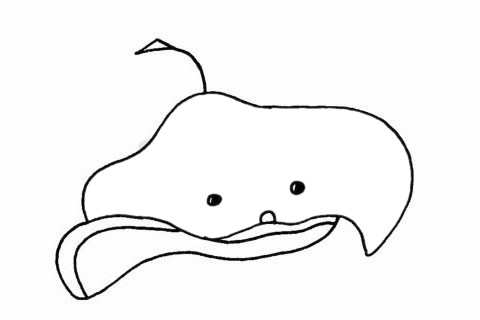 蝙蝠魚的簡單畫法
