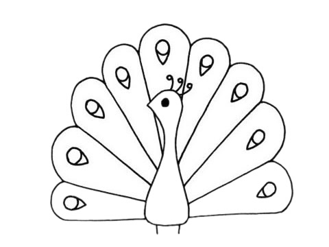 孔雀的簡(jiǎn)單畫法