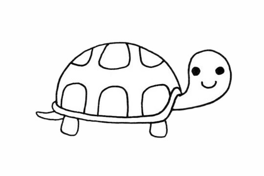 關于烏龜的兒童簡筆畫