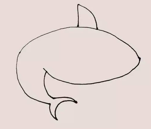 海里的鯊魚簡筆畫教程
