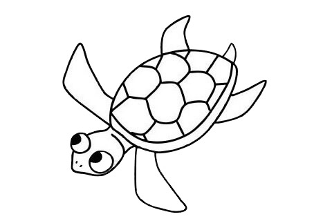 游泳的海龜簡筆畫