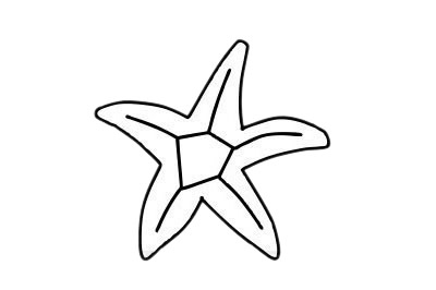 一組海星簡(jiǎn)筆畫(huà)大全 一組海星簡(jiǎn)筆畫(huà)大全