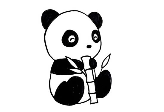 抱著竹子的小熊貓簡筆畫