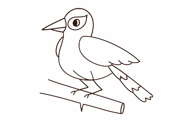 站在樹枝上的黃鸝鳥簡筆畫