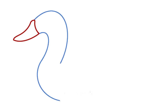 白天鵝簡(jiǎn)筆畫(huà)畫(huà)法步驟