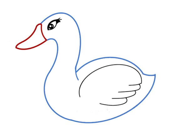 白天鵝簡(jiǎn)筆畫(huà)畫(huà)法步驟