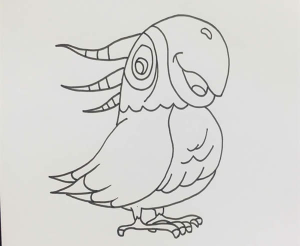 五顏六色的鸚鵡簡筆畫教程