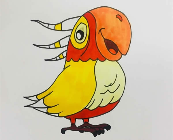 五顏六色的鸚鵡簡筆畫教程