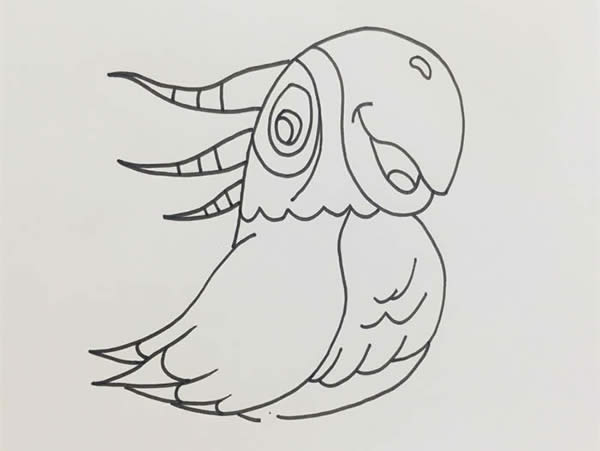 五顏六色的鸚鵡簡筆畫教程