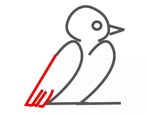 教你怎么用數字畫鴿子