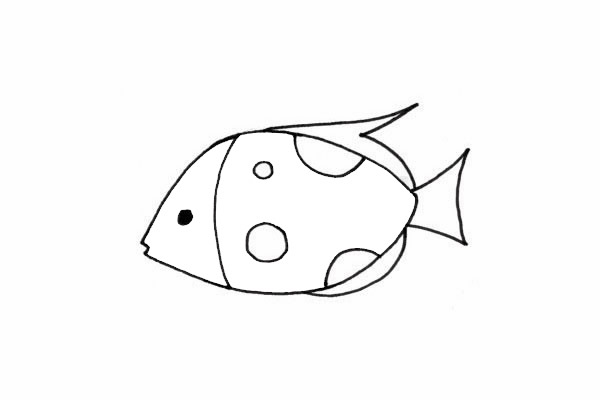 熱帶觀賞魚簡筆畫步驟