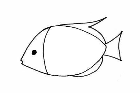 熱帶觀賞魚簡筆畫步驟