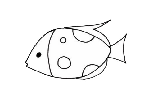 熱帶觀賞魚簡筆畫步驟