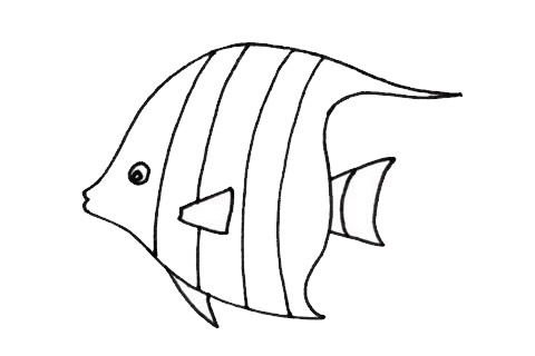 可愛的觀賞魚簡筆畫