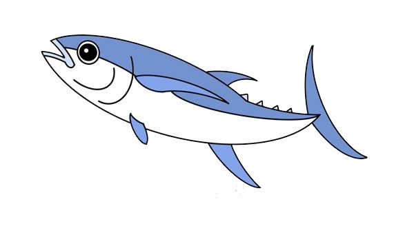 金槍魚簡筆畫的畫法