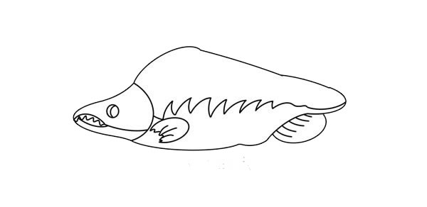 大馬哈魚簡筆畫畫法