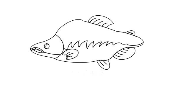 大馬哈魚簡筆畫畫法