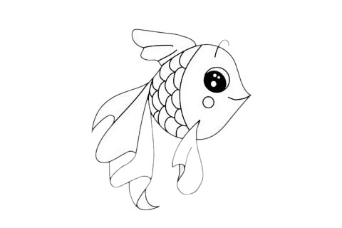 可愛漂亮的金魚簡筆畫