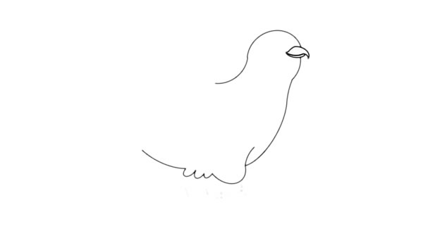 杜鵑鳥(niǎo)簡(jiǎn)筆畫(huà)的畫(huà)法步驟