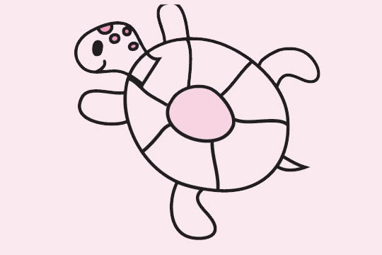 關于烏龜的簡筆畫