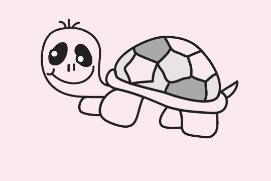 呆萌的烏龜簡筆畫