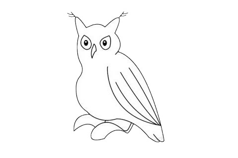 一組關(guān)于小鳥的簡筆畫大全